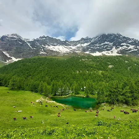 Vista Cervino דירה